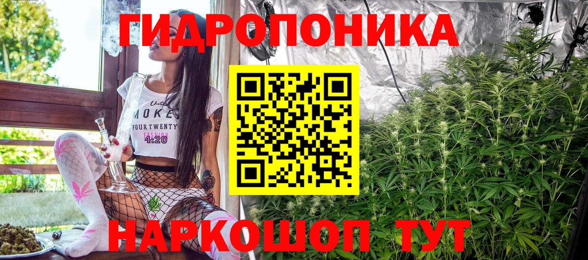 Юрга  Марихуана VHQ  Конопля план  Бошки Шишки White Widow  Марихуана ГИДРОПОН  Вход с VPN 